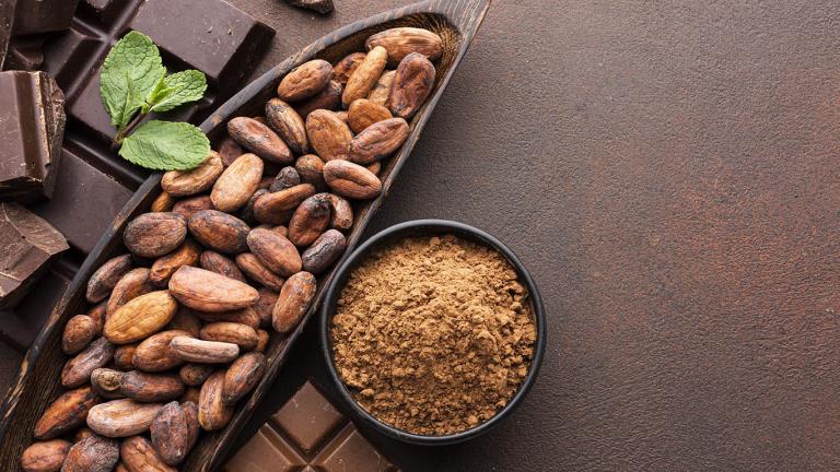 Obtención de productos nutraceúticos a través de la fermentación del cacao